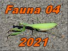 fauna 04